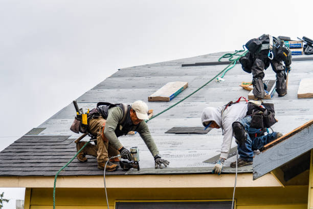 Professional Roofing technician working in Island, KY