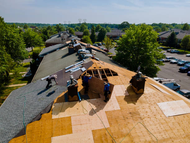 Trusted Roof Replacement service in Island, KY - Brentwood Metal Roofing